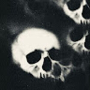 Meet your Posher, Lins